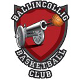 https://img.aamgpaloalto.com/img/basketball/team/2467d8f0f532ef9f25da9cc78508c90f.png