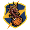 https://img.aamgpaloalto.com/img/basketball/team/8b6d92b8077ab543b739f53ed339eae9.png