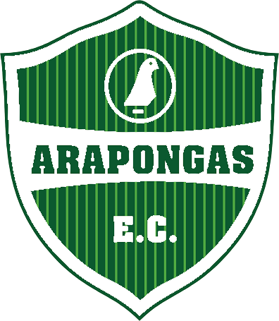 https://img.aamgpaloalto.com/img/football/team/380c64502a91f4793344369d098f099d.png