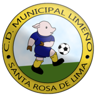 https://img.aamgpaloalto.com/img/football/team/6ca69376fd4306a64cb53f2f21338d67.png