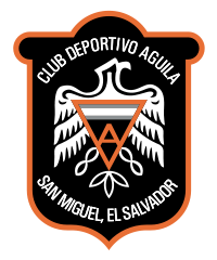 https://img.aamgpaloalto.com/img/football/team/78f68ab2740491114999eb4441f0d64a.png