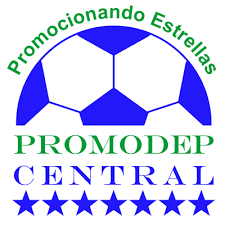 https://img.aamgpaloalto.com/img/football/team/84f69eedebc51e561fd1d3e3ff1923b9.png