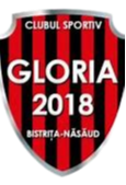 https://img.aamgpaloalto.com/img/football/team/a437e58508b832b84d63688a3fe81f7f.png