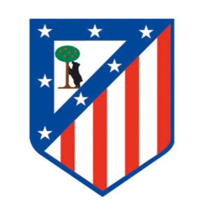 https://img.aamgpaloalto.com/img/football/team/a65e111e5483b52fc721be46f19f4982.png