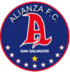 https://img.aamgpaloalto.com/img/football/team/f1b333a74dccab03a372191e3ff4f5b0.png